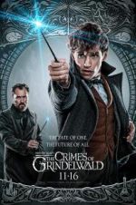 Watch Fantastic Beasts: The Crimes of Grindelwald 2KMovies
