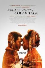Watch If Beale Street Could Talk 2KMovies