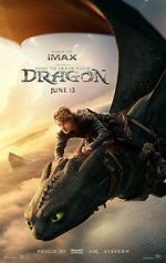 Watch How to Train Your Dragon 2KMovies
