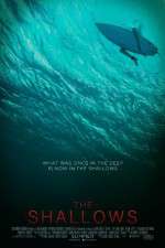 Watch The Shallows 2KMovies