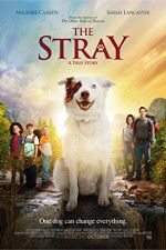 Watch The Stray 2KMovies