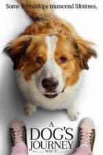 Watch A Dog's Journey 2KMovies