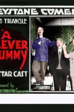 Watch A Clever Dummy 2KMovies