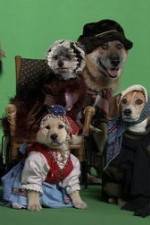 Watch Heidi 4 Paws 2KMovies