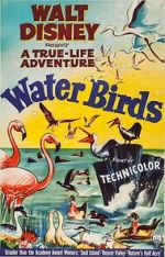 Watch Water Birds (Short 1952) 2KMovies