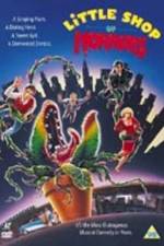 Watch Little Shop of Horrors 2KMovies