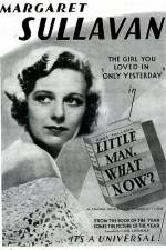 Watch Little Man What Now 2KMovies