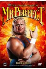 Watch The Life and Times of Mr Perfect 2KMovies