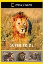 Watch National Geographic: Super Pride Africa\'s Largest Lion Pride 2KMovies