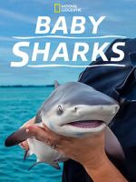 Watch Baby Sharks 2KMovies