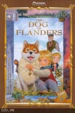 Watch The Dog of Flanders 2KMovies
