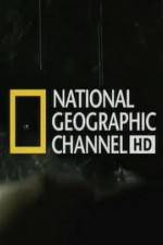 Watch National Geographic Night Stalkers Hyena Gangs 2KMovies