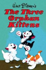 Watch Three Orphan Kittens 2KMovies