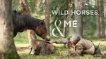 Watch Wild Horses, the Rockies and Me (TV Special 2025) 2KMovies