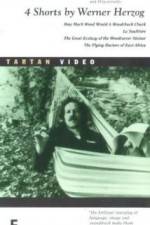 Watch La Soufria?re - Waiting For An Inevitable Disaster 2KMovies