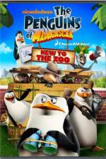 Watch Penguins of Madagascar New to the Zoo 2KMovies