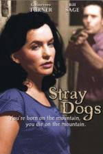 Watch Stray Dogs 2KMovies