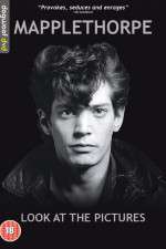 Watch Mapplethorpe: Look at the Pictures 2KMovies
