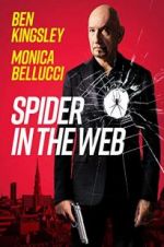 Watch Spider in the Web 2KMovies