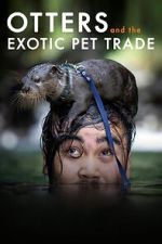 Watch Otters and the Exotic Pet Trade 2KMovies