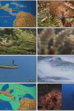 Watch National Geographic:  Worlds Deadliest Animals - North America 2KMovies