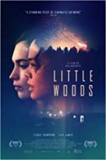 Watch Little Woods 2KMovies