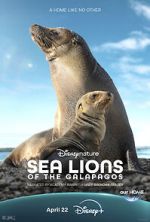 Watch Sea Lions of the Galapagos (TV Special 2025) 2KMovies