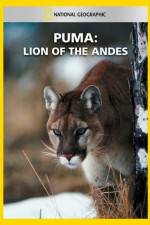 Watch National Geographic Puma: Lion of the Andes 2KMovies