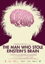 Watch The Man Who Stole Einstein\'s Brain 2KMovies