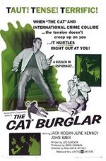 Watch The Cat Burglar 2KMovies