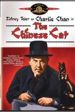 Watch Charlie Chan in The Chinese Cat 2KMovies