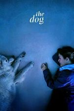 Watch The Dog 2KMovies