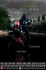 Watch Deadpool and the Black Panther 2KMovies