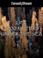 Watch Life 2,000 Meters Under the Sea 2KMovies