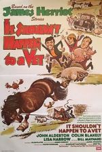Watch It Shouldn't Happen to a Vet 2KMovies