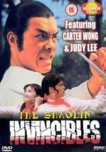 Watch Yong zheng ming zhang Shao Lin men 2KMovies