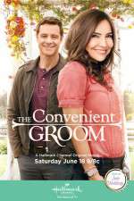 Watch The Convenient Groom 2KMovies