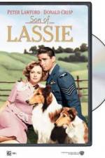 Watch Son of Lassie 2KMovies