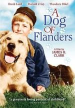 Watch A Dog of Flanders 2KMovies