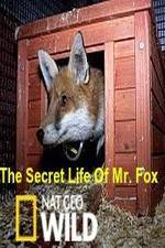 Watch The Secret Life of Mr. Fox 2KMovies