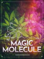 Watch Magic Molecule 2KMovies