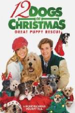 Watch 12 Dogs of Christmas Great Puppy Rescue 2KMovies