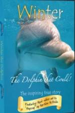 Watch Winter The Dolphin That Could 2KMovies