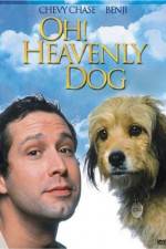 Watch Oh Heavenly Dog 2KMovies