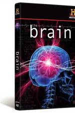 Watch The Brain 2KMovies
