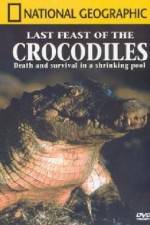 Watch National Geographic: The Last Feast of the Crocodiles 2KMovies