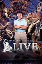 Watch David Attenborough\'s Natural History Museum Alive 2KMovies