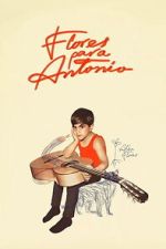 Watch Flores para Antonio 2KMovies