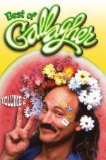 Watch Gallagher Stuck in the Sixties 2KMovies