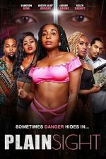 Watch Plain Sight 2KMovies
